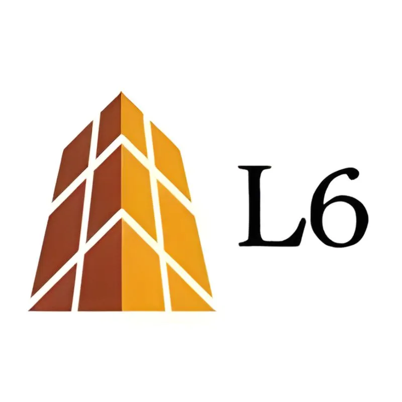Lean Six Sigma